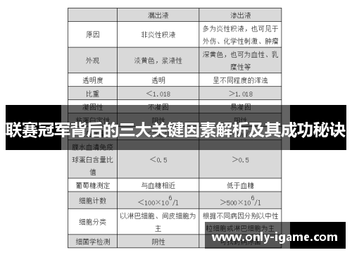 联赛冠军背后的三大关键因素解析及其成功秘诀 联赛冠军背后的三大关键因素解析及其成功秘诀