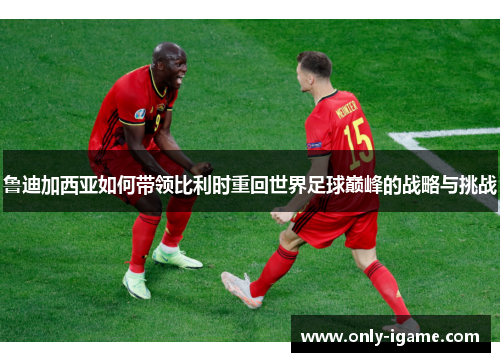 鲁迪加西亚如何带领比利时重回世界足球巅峰的战略与挑战 鲁迪加西亚如何带领比利时重回世界足球巅峰的战略与挑战