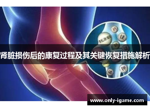 肾脏损伤后的康复过程及其关键恢复措施解析