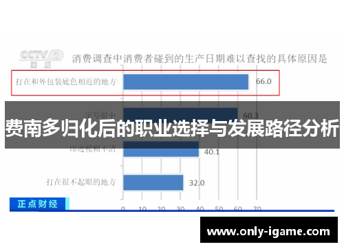 费南多归化后的职业选择与发展路径分析 费南多归化后的职业选择与发展路径分析