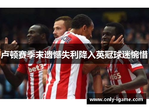 卢顿赛季末遗憾失利降入英冠球迷惋惜